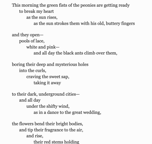 weltenwellen: Mary Oliver, “Peonies”, Devotions