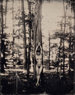 vivipiuomeno:  Andreas Reh - Visions, 2013, wetplate collodion