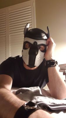 pupdeeno:  Arf!    It’s sooo cold… You come and warm up the