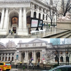 New York Public Library 🇳🇾 #travel #newyork #architecture