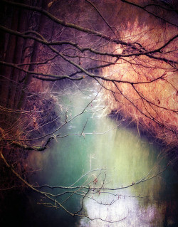 mykindafairytalee:  sea green river by Cate … on Flickr. 