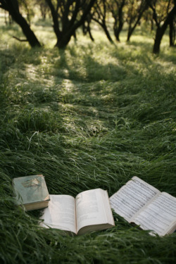 euphoricspirit:  ’ Reading in the grass fields, so i can sink