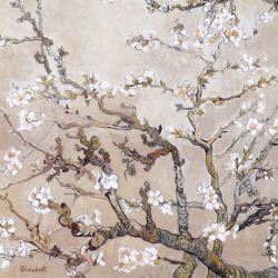 goodreadss:    Almond Branches In Bloom, San Remy | Vincent Van