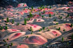 sixpenceee:  Painted Dunes, Lassen Volcanic National Park in