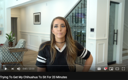 zot5:  Jenna Marbles: Trying To Get My Chihuahua To Sit For