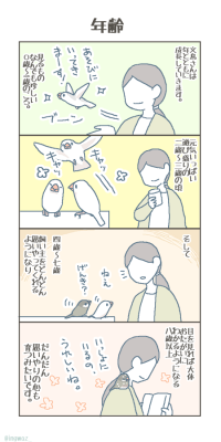 bunchobox:  くるみさんのように初めからべた慣れの子もいたりしますが、大体こんなふう。文鳥さんも年を重ねながらどんどん賢くなっていきます。