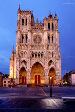 allthingseurope:  Amiens Cathedral, France (by o couer de la