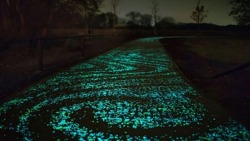 8bitfuture:  Glow in the dark cement patented.A scientist at