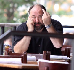 bearmeat:  James Gandolfini, RIP you sexy man. 