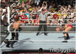 thejiggyjifs:  Randy Orton vs Seth Rollins at Wrestlemania 31.