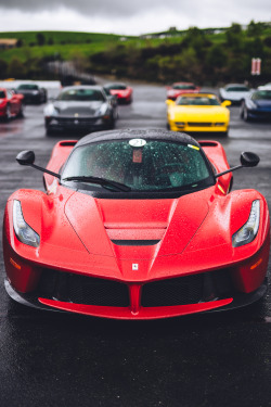 guywithacamera415:  LaF