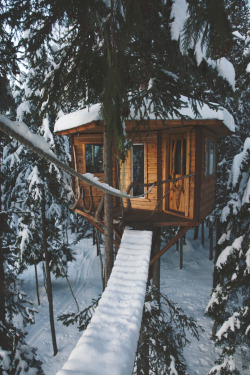 treehauslove:  mikeygribbin:  The perfect getaway.  Amazing winter