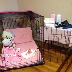 badlilblubunny:Sissy babies get locked up in the sissy cage.