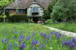 pagewoman:  Great Dixter, Northiam, East Sussex, Englandby Jonathan