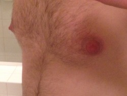 theslaveproject:  My nipples are huge after a particularly long