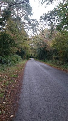 The lane this morning. Wee bit damp under tyre.