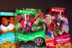 brosevelt:  laughingsquid:  The Girl Scouts of the USA Now Offer