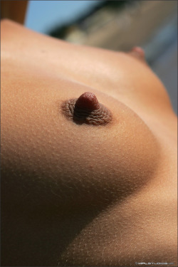 tanlines4me:  Nadia - Butterfly   Beautiful natural breasts and amazing erect nipples ahoy! Â I especially like erect nipples when theyâ€™re dark like this (the lovely lady has gorgeous tanned olive skin&hellip;YUM!) Â I could spend a long long time sucki