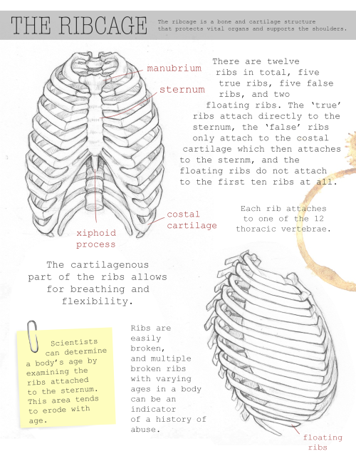 kaalashnikov:  I slaved over my bone portfolio all week and it’s finally doooone. It has a short comic corresponding to the title page where one guy shows the other his forensic notes, but that’s too much to bother uploading.