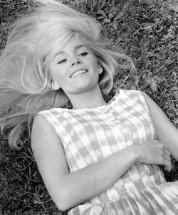 the60sbazaar:  Tuesday Weld (1968)