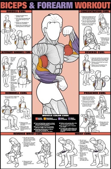 sourcedumal:  male-fitness-motivation:  If you’re ever at a loss for a new way to target certain muscle groups, posts like this are super helpful. You should change up your routine every few workouts , or have a few workouts that you can cycle between