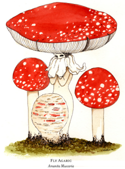 Mushroom Pieces by Eveline Tarunadjaja 