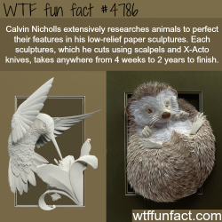 wtf-fun-factss:  Paper art sculptures by Calvin Nicholls - WTF