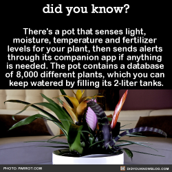 did-you-kno:  There’s a pot that senses light,  moisture, temperature