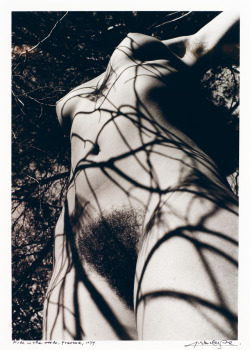 thegreatinthesmall:   LUCIEN CLERGUE (1934-2014) NUDE IN THE WOODS, PROVENCE, 1974   