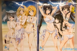 cooterie:  (via IS: Infinite Stratos 2: Transparent Posters (IS: