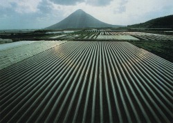 autosafari:  Rows of tunnels (greenhouses) lining the fields