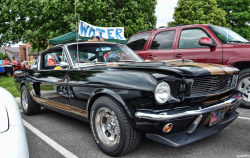 chadscapture:   	1966 Shelby GT350H by Chad Horwedel    
