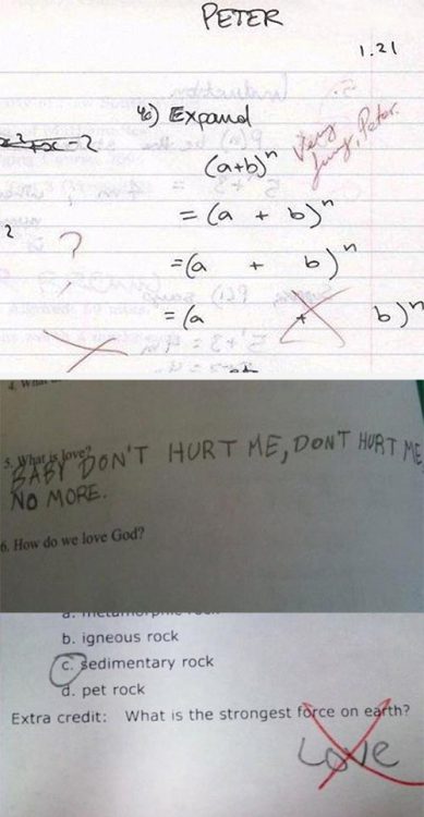 tyler-thequeen:  juststrokemyglabella:  f1ipster:  danisactuallycry:  iraffiruse:  Listen here, you little shit…  Saturn was NOT a single lady.  “I’ll tell him not to go to a play. Ever.”  you should not hit dogs  Take out centi. 