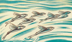 nemfrog:Flying fish.  Jungle Picnic. 1934. Clifford Webb, author