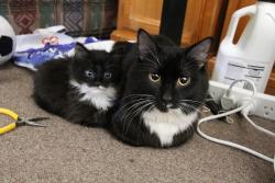 awwww-cute:Me and my mini me