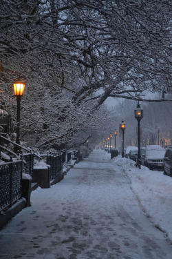 plasmatics-life:  Snow in Boston ~ By Laura Dubreuil Vall 