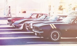 mycamaro67:  My Camaro 1967 RS, Camaro 68 SS “The Crow”,