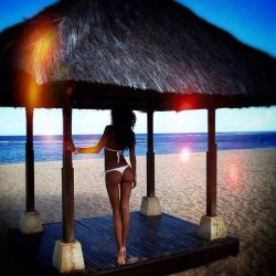 palaume:Follow us on Our Blog Palaume : sexy pictures, kinky