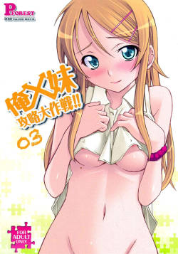 hentai-images:  Ore x Imouto Kouryaku Daisakusen!! 03 - Ore no