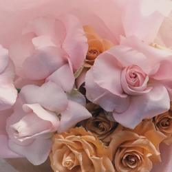 floralls:by brrch_floral