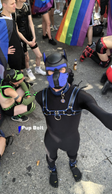 pupbolt:  Loads of fun at Berlin Pride 2018!With gorgeous pups