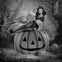 whatkatiedidlingerie:  Spectacularly spooky pinup Roxi DLite