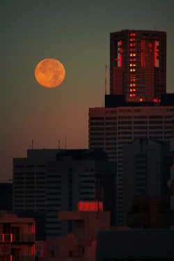 ethertune:  Red Moon (By guen-k)