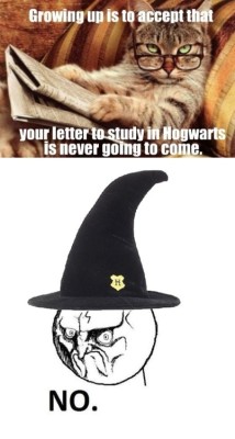 memeblender:  Growing up is…