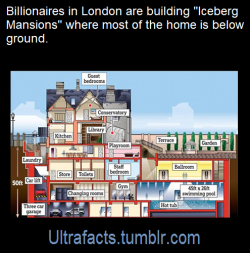 ultrafacts:  Source: [x] Follow Ultrafacts for more facts! 