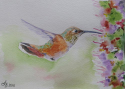 canvaspaintings:  Hummingbird, original watercolor painting Handmade