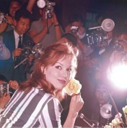 miss-accacia27:Mylène Demongeot in press conference at Tokyo