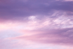 fawnave: lavender skies hold the key to my heart 
