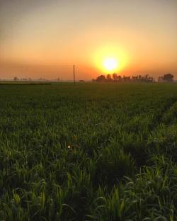 Sunsets in Punjab 😊😊😊 (at Khakh Farm)