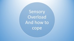 :  Sensory Overload and how to cope. (click on images to zoom)